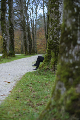 Stefan Guggenbichler .art