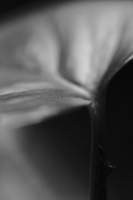 Stefan Guggenbichler .art