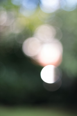 Stefan Guggenbichler  .art