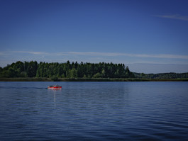 Stefan Guggenbichler .art