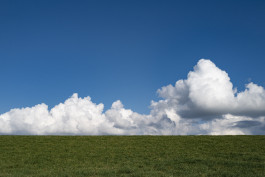 Stefan Guggenbichler .art