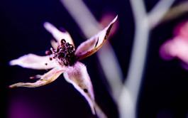 Stefan Guggenbichler .art