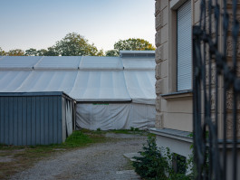 Stefan Guggenbichler .art