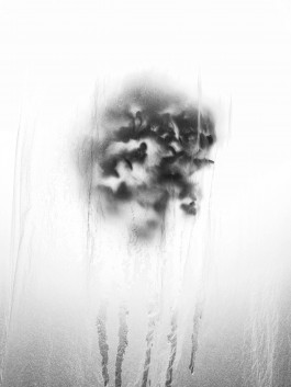 Stefan Guggenbichler .art