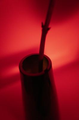 Stefan Guggenbichler .art