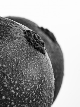 Stefan Guggenbichler .art