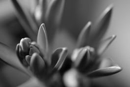 Stefan Guggenbichler .art