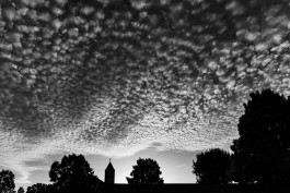 Stefan Guggenbichler .art