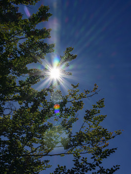 Stefan Guggenbichler .art