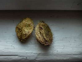 Stefan Guggenbichler .art