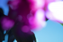 Stefan Guggenbichler .art