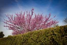 Stefan Guggenbichler .art