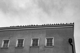 Stefan Guggenbichler .art