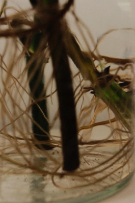 Stefan Guggenbichler .art