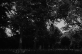 Stefan Guggenbichler .art