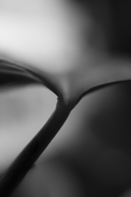 Stefan Guggenbichler .art