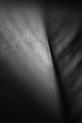 Stefan Guggenbichler .art