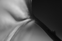 Stefan Guggenbichler .art