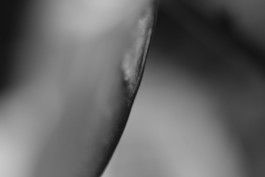 Stefan Guggenbichler .art