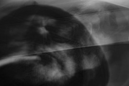 Stefan Guggenbichler .art