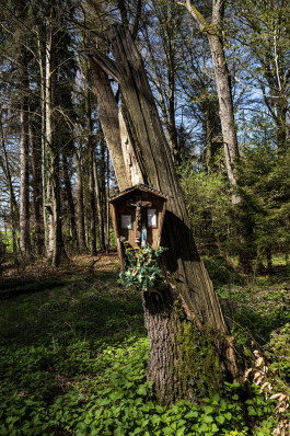 Stefan Guggenbichler .art