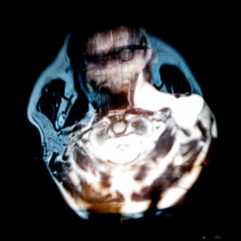 Stefan Guggenbichler .art