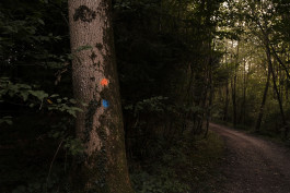 Stefan Guggenbichler .art