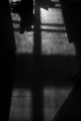 Stefan Guggenbichler .art