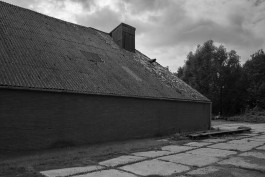 Stefan Guggenbichler .art