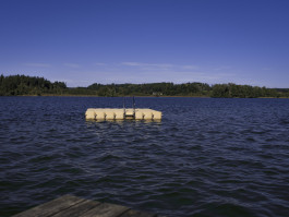 Stefan Guggenbichler .art