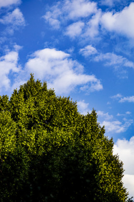 Stefan Guggenbichler .art