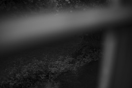 Stefan Guggenbichler .art