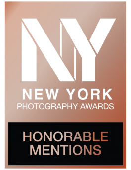 Stefan Guggenbichler .art