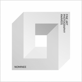 Stefan Guggenbichler .art