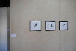 Stefan Guggenbichler .art