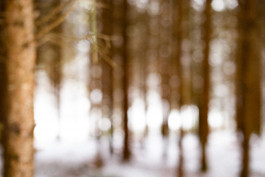 Stefan Guggenbichler .art