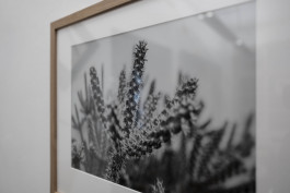 Stefan Guggenbichler .art