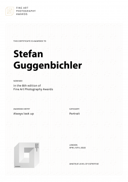 Stefan Guggenbichler .art