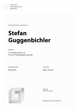 Stefan Guggenbichler .art
