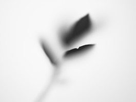 Stefan Guggenbichler .art