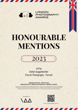 Stefan Guggenbichler .art