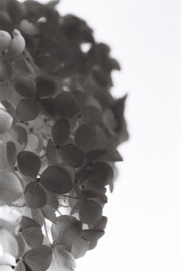 Stefan Guggenbichler .art