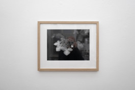 Stefan Guggenbichler .art