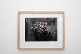 Stefan Guggenbichler .art