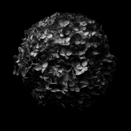 Stefan Guggenbichler .art