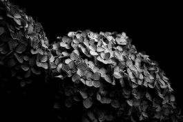 Stefan Guggenbichler .art