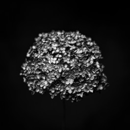 Stefan Guggenbichler .art