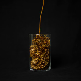 Stefan Guggenbichler .art