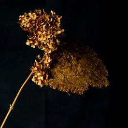 Stefan Guggenbichler .art