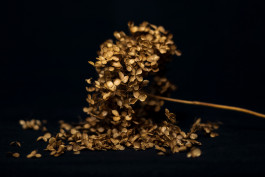 Stefan Guggenbichler .art